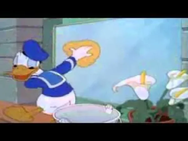 Kačer Donald, Pluto a Mickey - Kačer Donald - Umývač oken