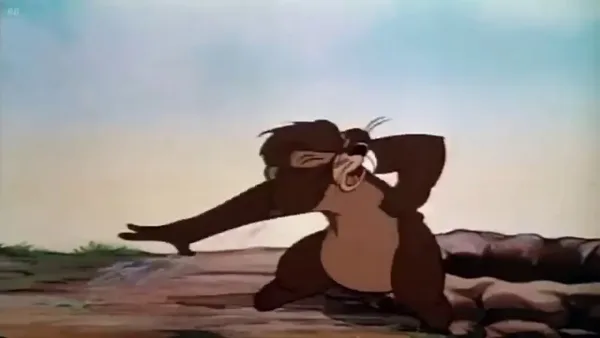 Kačer Donald, Pluto a Mickey - Kačer Donald - Zahrada