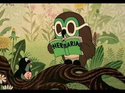 Krtek - Krtek a medicína - pohádka